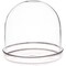 Plymor 4" x 4" Glass Display Dome Cloche with Silver Rim (Silver Rim Glass Tray Base)